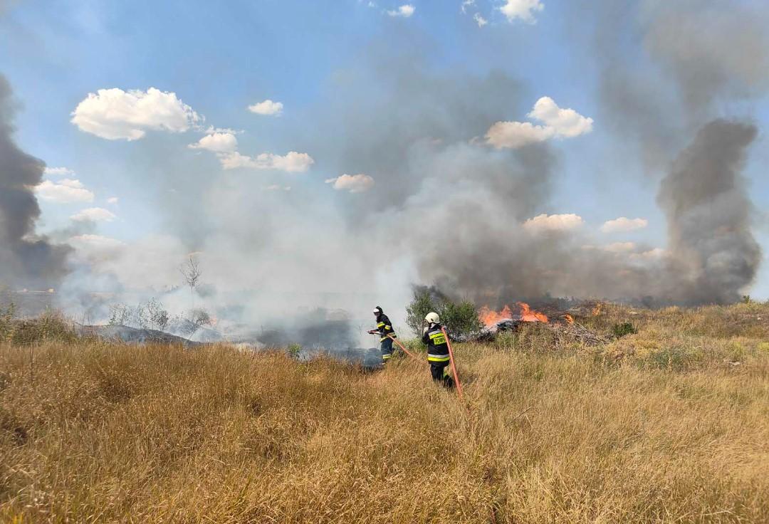 Risc sporit de incendii de vegetație. Cod galben în sudul și centrul R. Moldova