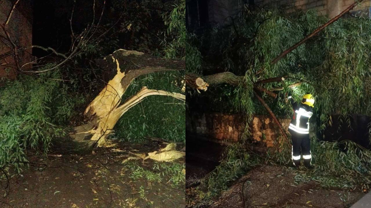 Salvatorii au avut 20 de misiuni după furtunile de aseară. În Chișinău, arbori au căzut peste mașini și cabluri electrice